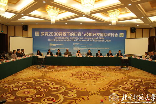 教育2030背景下的掃盲與技能開(kāi)發(fā)國(guó)際研討會(huì) 技術(shù)開(kāi)發(fā)的創(chuàng)新路徑